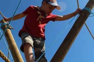 CCC2018-3193