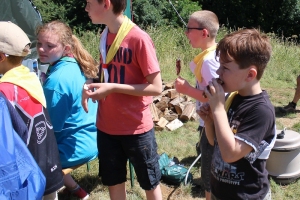 CCC2018-3203