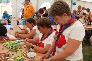 CCC2018-3377