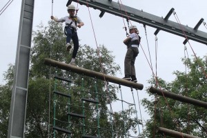PAW2019-0936