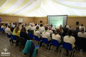NN-AGM24-DC-50